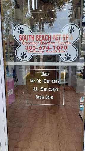 Pet Store «South Beach Pet Shop», reviews and photos, 634 6th St, Miami Beach, FL 33139, USA