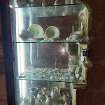 Photo n°19 de l'avis de Gretabeta1964. fait le 05/05/2022 à 15:42 sur le  Labirinto Di Adriano à Orvieto