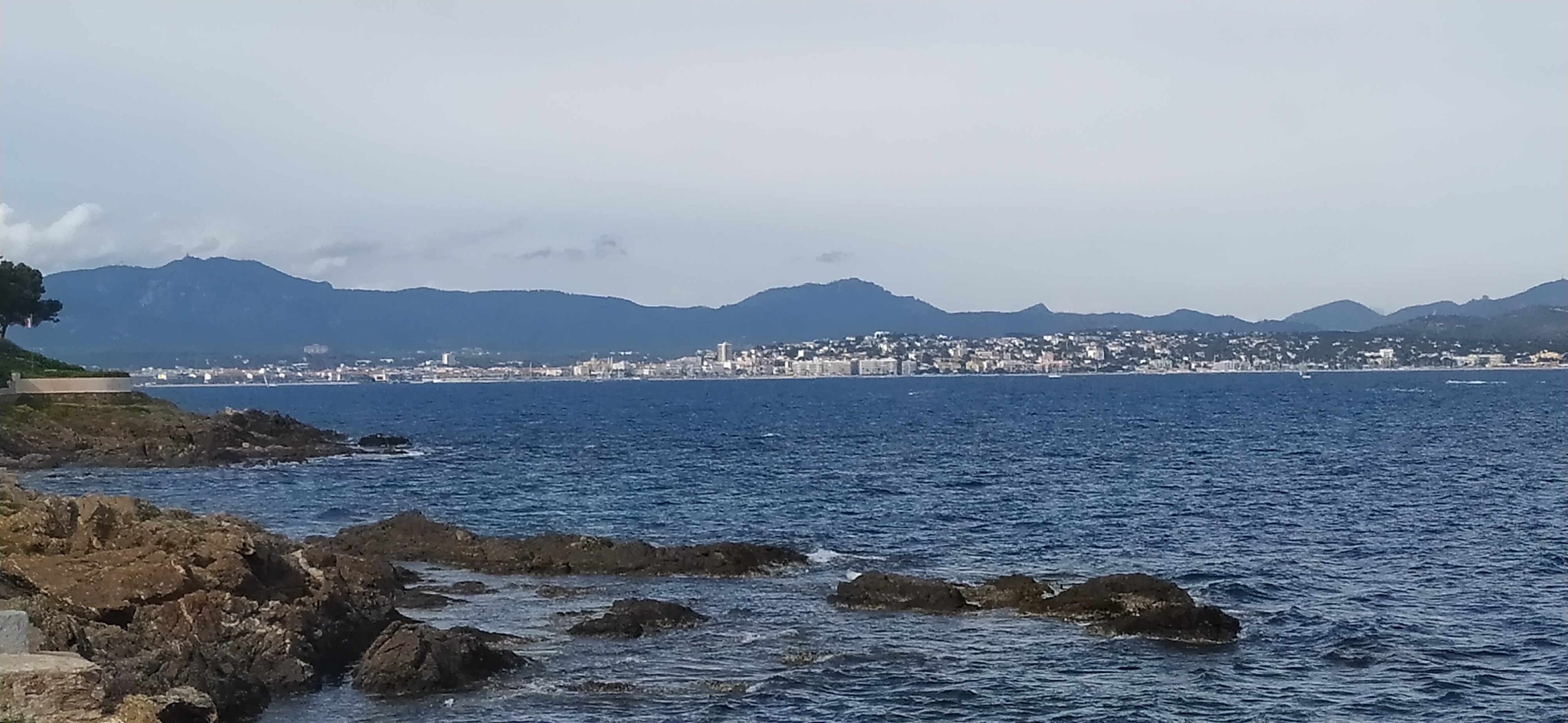Photo n° 1 de l'avis de Ric. fait le 22/05/2021 à 17:49