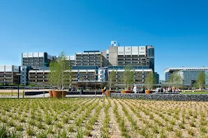 Leiden University Medical Center (LUMC) image