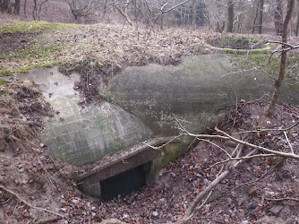 WO2 bunkers Driehuis