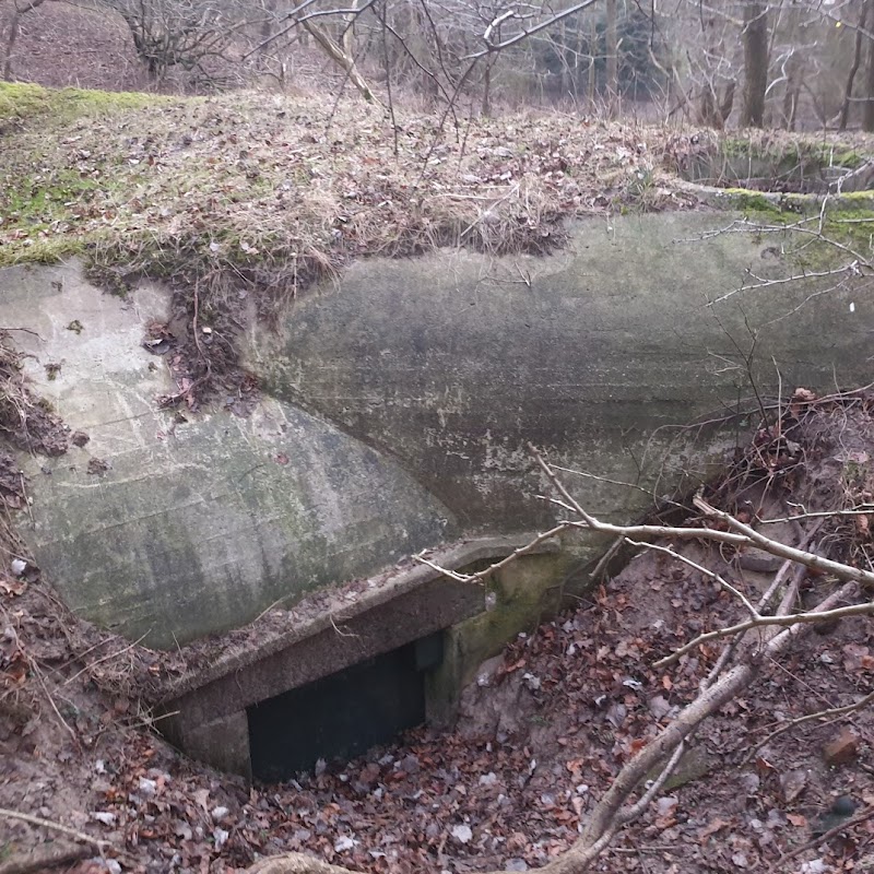 WO2 bunkers Driehuis