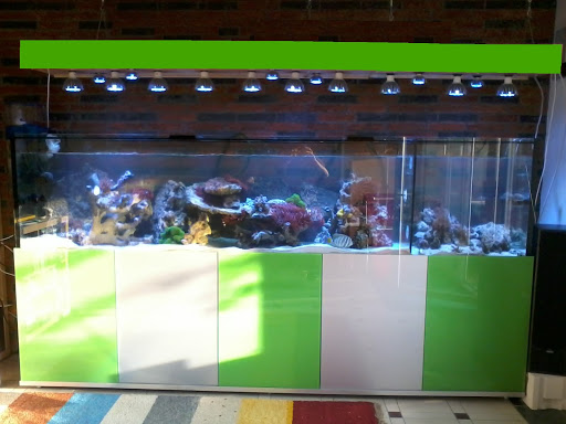 Aquariumbau und Terrariumbau Terra Nature Dortmund unter Dortmund, 