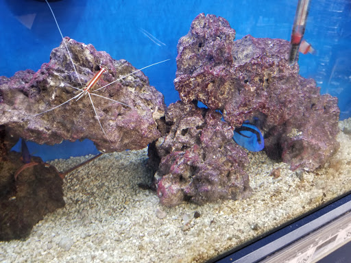 Pet Supply Store «Petco Animal Supplies», reviews and photos, 2005 W 8 Mile Rd, Detroit, MI 48203, USA