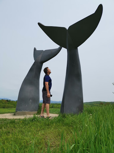 Monument «Reverence (Whales Tails)», reviews and photos, I-89, South Burlington, VT 05403, USA