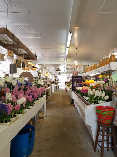 Grocery Store «Red Top Farm Market», reviews and photos, 1801 NJ-70, Southampton Township, NJ 08088, USA