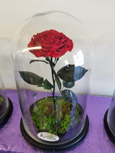 Florist «The Chocolate Rose», reviews and photos, 1609 S Richey St, Pasadena, TX 77502, USA