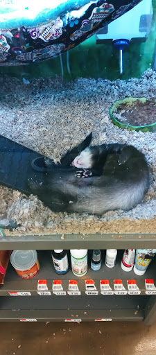 Pet Supply Store «Pet Supplies Plus», reviews and photos, 12662 Rockside Rd, Garfield Heights, OH 44125, USA