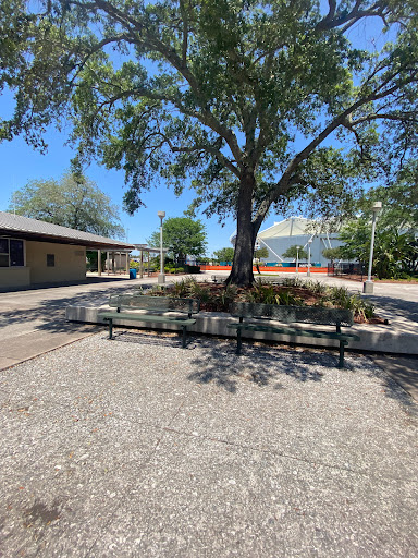 Park «Metropolitan Park», reviews and photos, 1410 Gator Bowl Blvd, Jacksonville, FL 32202, USA