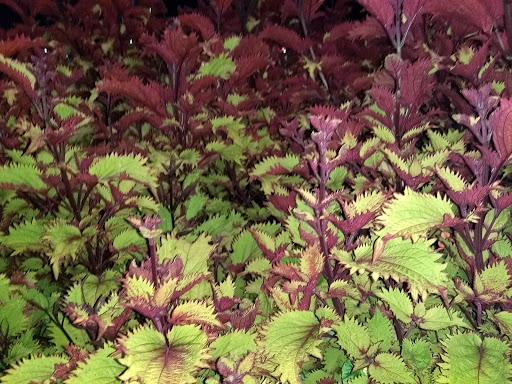 Wine Store «Fine Wine & Good Spirits», reviews and photos, 162 E Street Rd, Feasterville-Trevose, PA 19053, USA