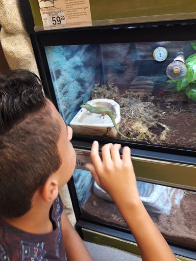 Pet Supply Store «Petco Animal Supplies», reviews and photos, 30697 US Hwy 19 N, Palm Harbor, FL 34684, USA