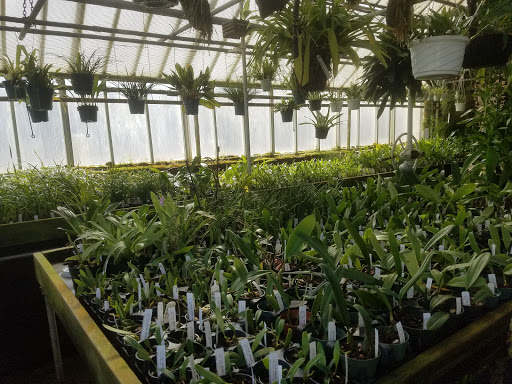 Florist «Little Brook Orchids», reviews and photos, 25 Rider Ave, Lancaster, PA 17603, USA