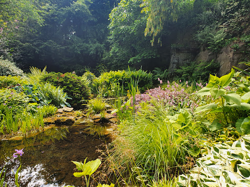 Gardening centre Sheffield