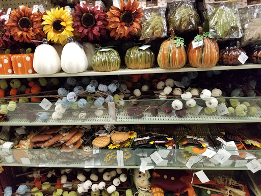 Craft Store «Hobby Lobby», reviews and photos, 6320 W Plano Pkwy, Plano, TX 75093, USA
