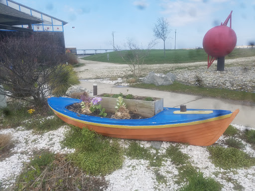 Aquarium «Atlantic City Aquarium», reviews and photos, 800 N New Hampshire Ave, Atlantic City, NJ 08401, USA