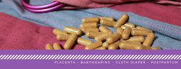 Toni Kinsman Consulting & Placenta Encapsulation