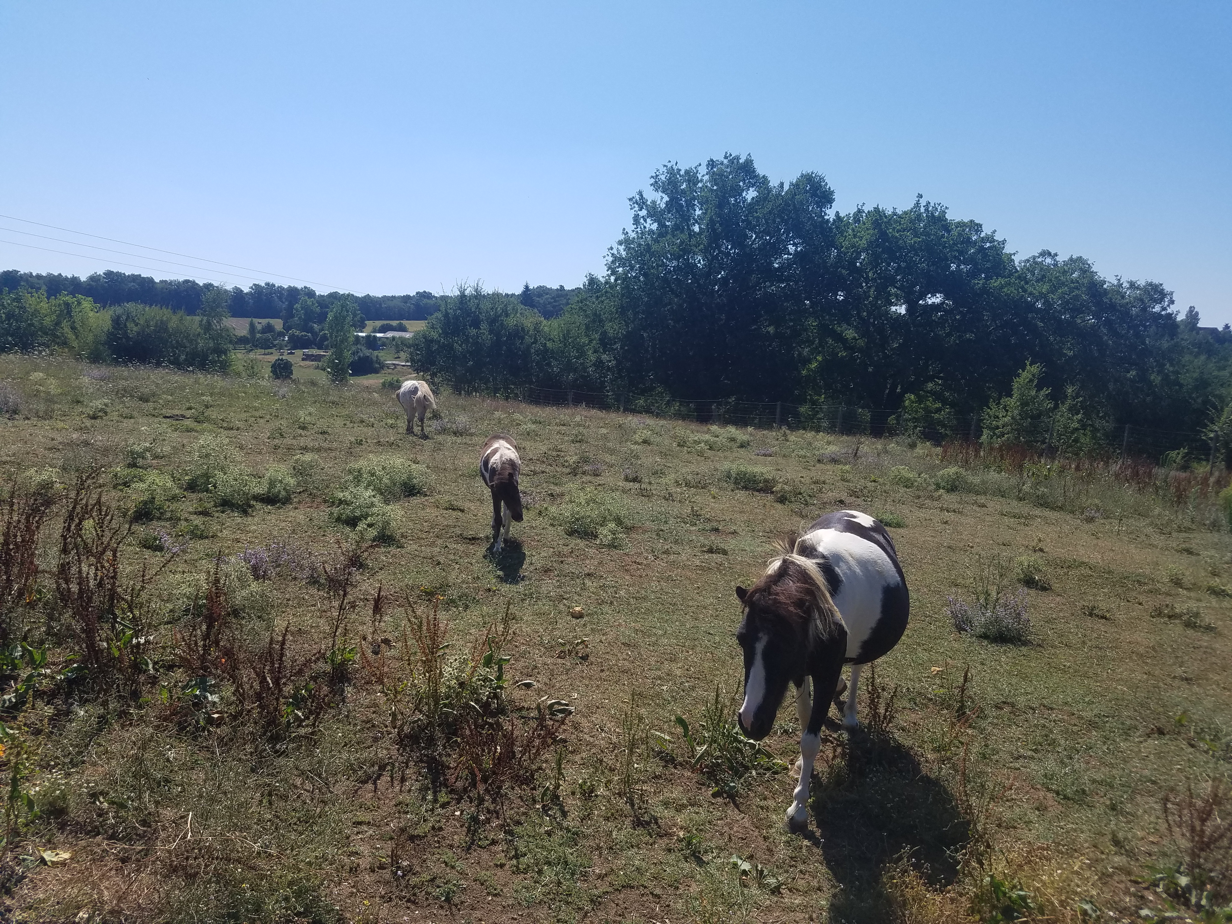 Photo n° 5 de l'avis de Jenny.o fait le 03/08/2018 à 15:13