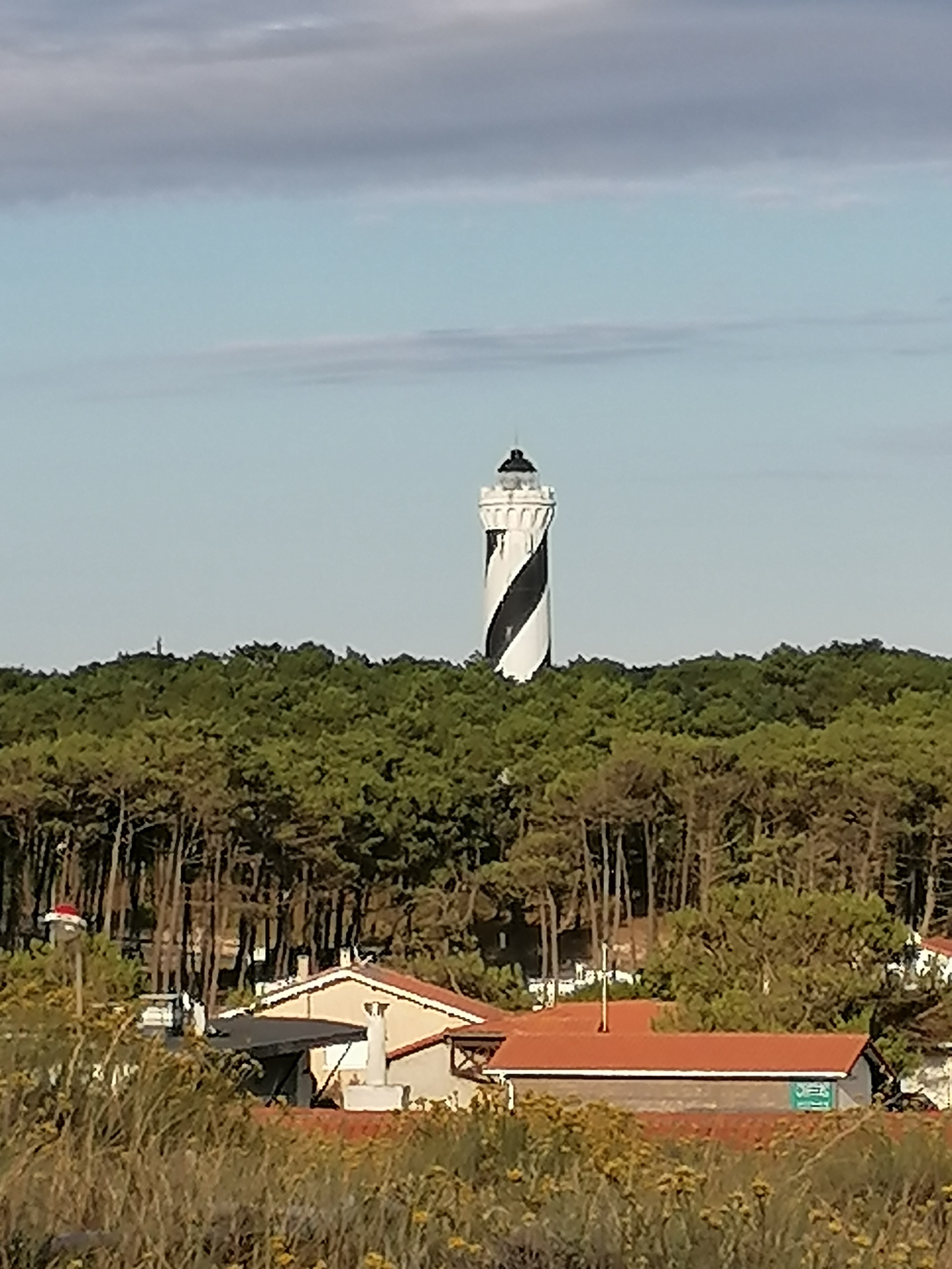 Photo n° 1 de l'avis de xavier.a fait le 22/06/2020 à 01:33