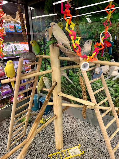 Pet Supply Store «Petco Animal Supplies», reviews and photos, 19767 Haynes Road, Catoosa, OK 74421, USA