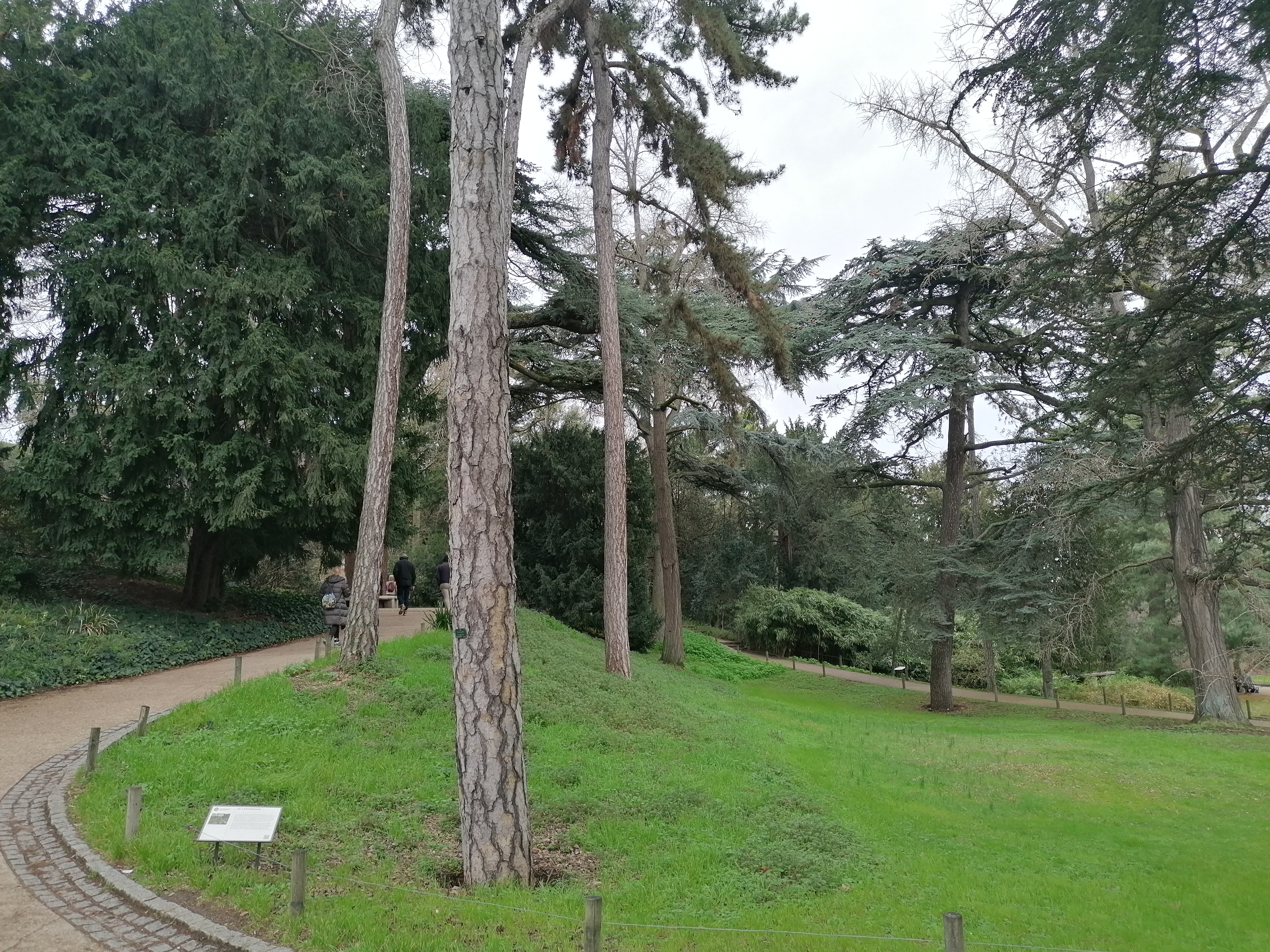 Photo n° 25 de l'avis de Moh.a fait le 11/02/2024 à 11:39