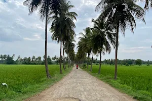 Mahadevpura Shooting Spot (Coconut Park) image