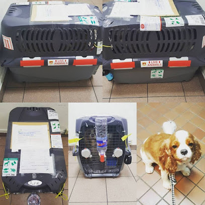 Pet Transport Singapore | Dog Boarding | Jasons Pet Relocation