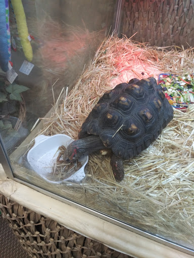 Zoo «Sierra Safari Zoo», reviews and photos, 10200 N Virginia St, Reno, NV 89506, USA