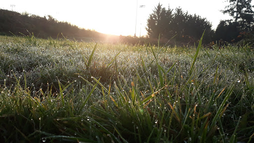 Park «Celebration Park», reviews and photos, 1095 S 324th St, Federal Way, WA 98003, USA