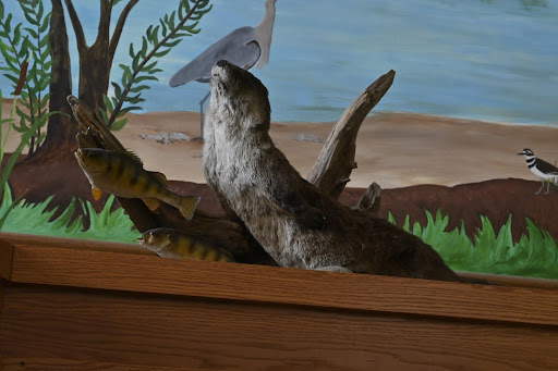 Museum «Lewis & Clark Boat House», reviews and photos, 1050 S Riverside Dr, St Charles, MO 63301, USA