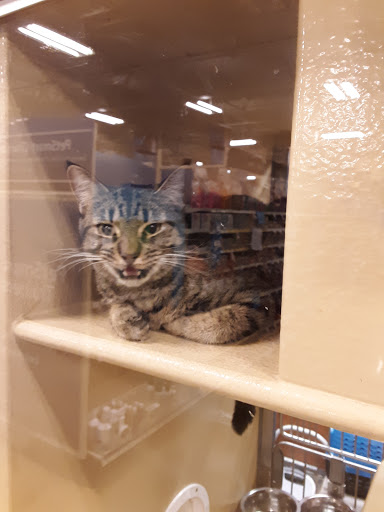 Pet Supply Store «PetSmart», reviews and photos, 1929 Scenic Hwy N, Snellville, GA 30078, USA