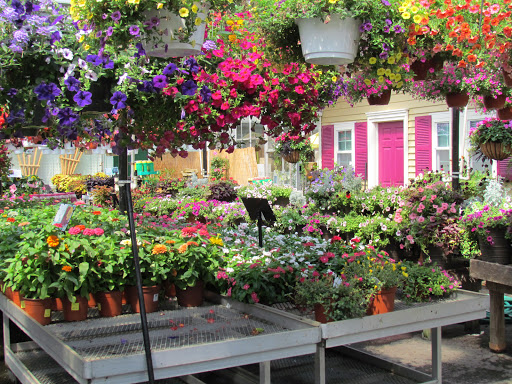 Garden Center «Dees Nursery & Florist», reviews and photos, 69 Atlantic Ave, Oceanside, NY 11572, USA