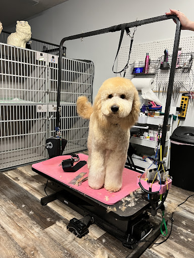 Steph's Cute Critter Cuts.Inc