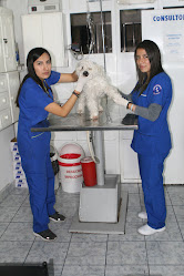 Clínica Veterinaria Salud Animal