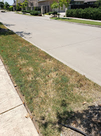 American Landscape Systems - Photo 9 - Car repair in Lewisville, TX, Lewisville