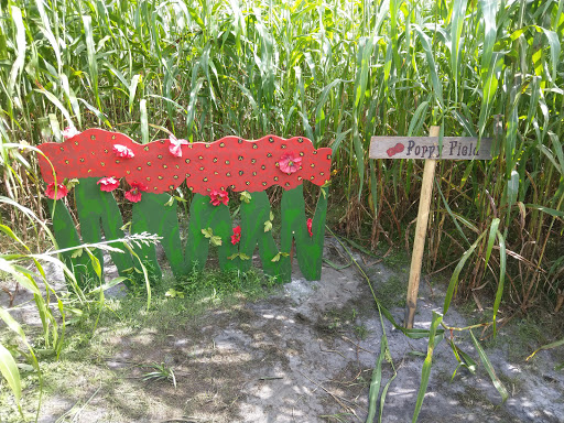 Tourist Attraction «Partin Ranch Corn Maze», reviews and photos, 5601 N Canoe Creek Rd, Kenansville, FL 34739, USA