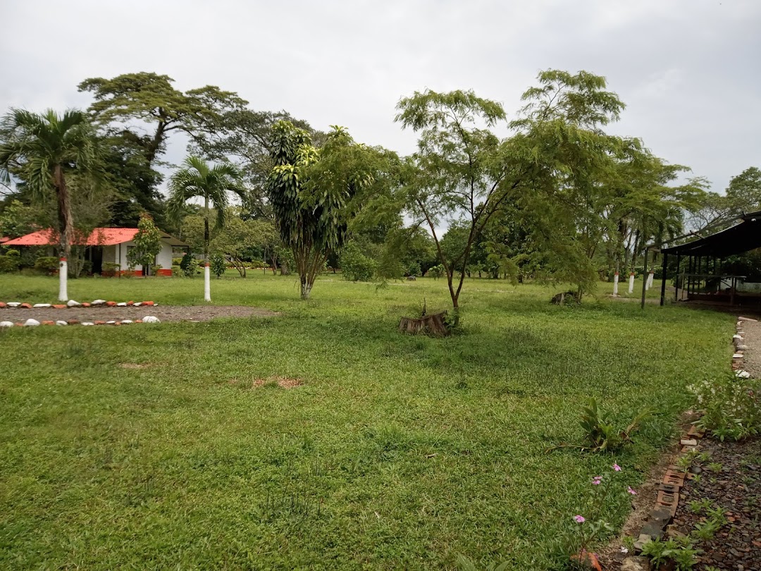 Arte & Pan Pastelería