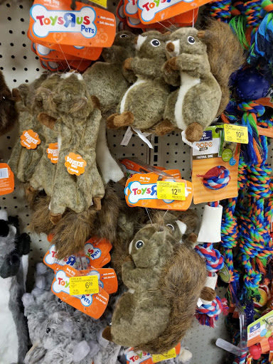 Pet Supply Store «PetSmart», reviews and photos, 1900 W International Speedway Blvd, Daytona Beach, FL 32114, USA