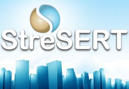 StreSERT Services Limited, 11 Maye St, Yaba, Lagos, Nigeria, Telecommunications Service Provider, state Lagos