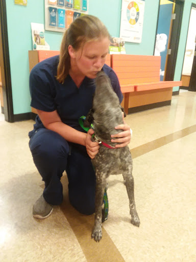 Pet Supply Store «PetSmart», reviews and photos, 711 US-41, Schererville, IN 46375, USA