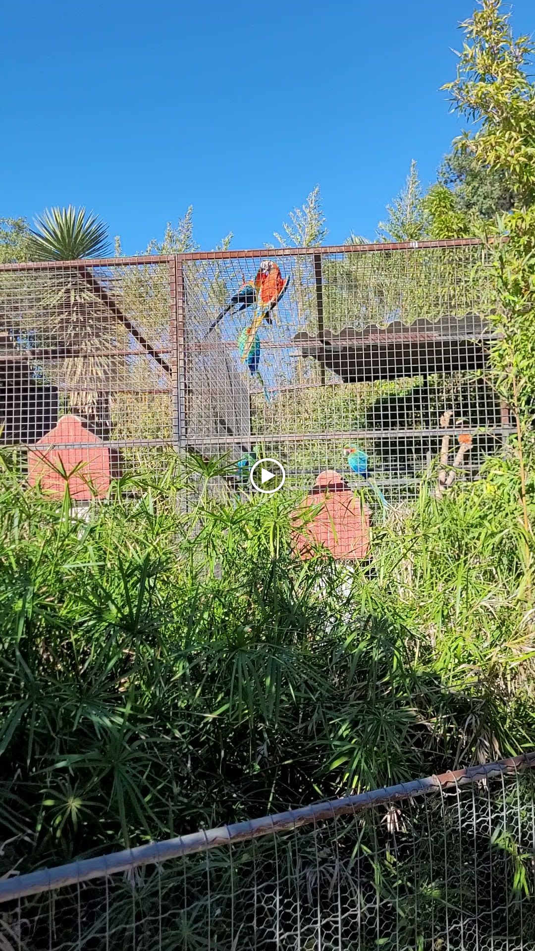 Photo n° 9 de l'avis de Guillaume.o fait le 13/11/2023 à 22:35