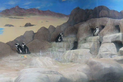 Zoo «Cheyenne Mountain Zoo», reviews and photos, 4250 Cheyenne Mountain Zoo Rd, Colorado Springs, CO 80906, USA