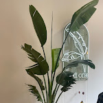 Photo n°17 de l'avis de Shabnam.. fait le 17/10/2023 à 21:07 sur le  Good One Café à Hamburg