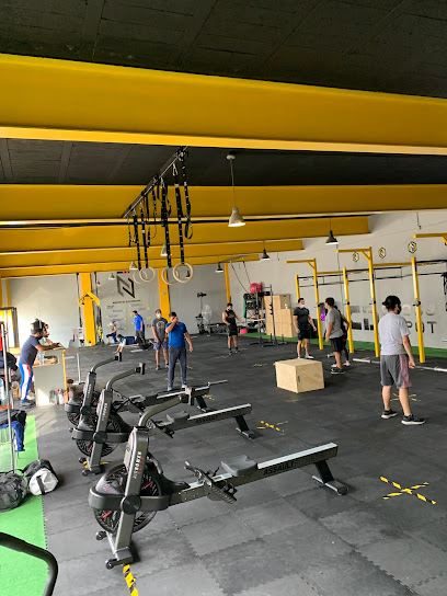 NúCLEO FITNESS INDUSTRY