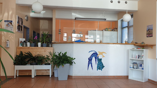 Veterinary practice Nicole Walter unter Kirkel, 