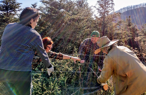 Art Museum «Museum of North Carolina Handicrafts», reviews and photos, 49 Shelton St, Waynesville, NC 28786, USA