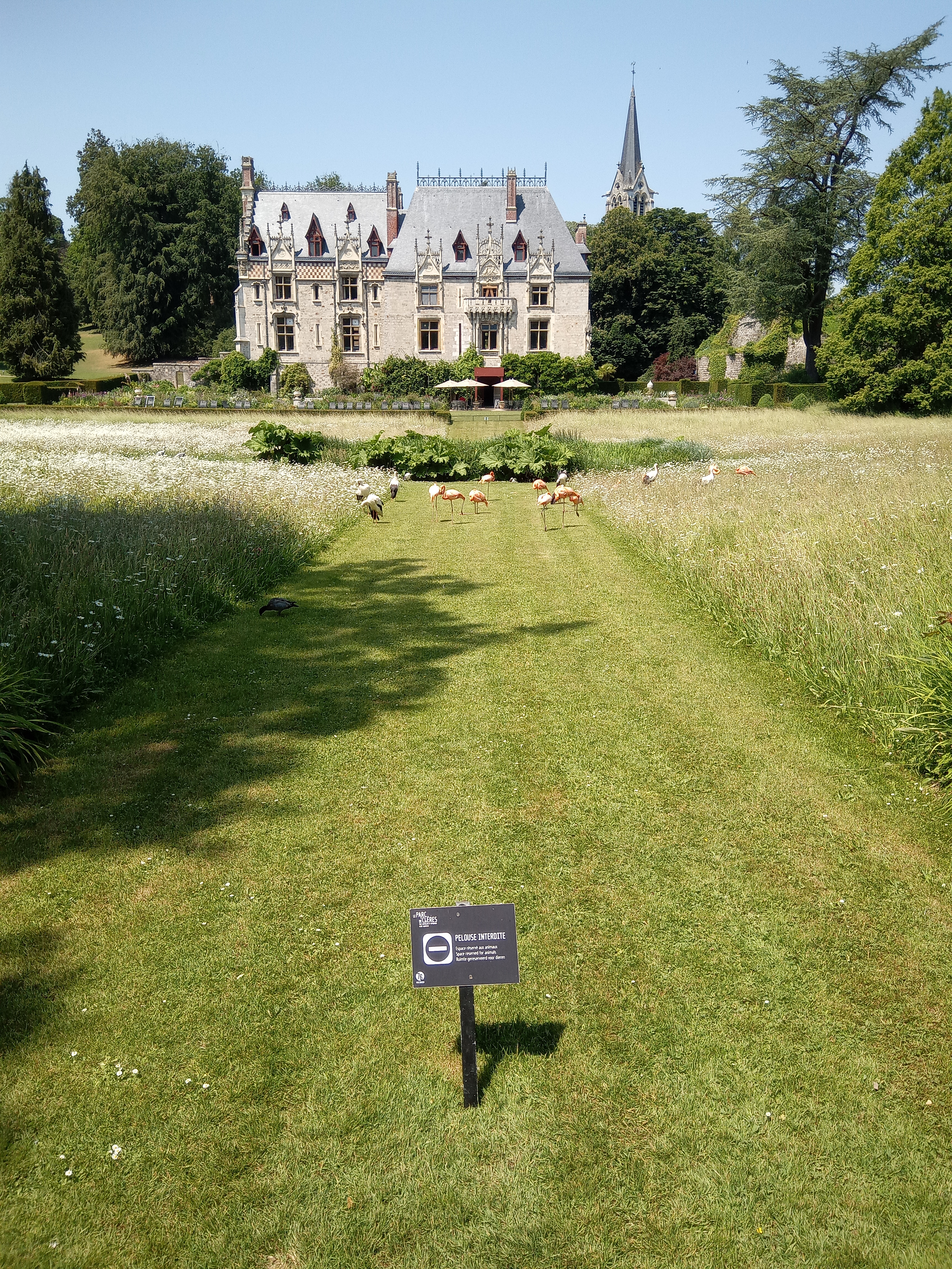 Photo n° 4 de l'avis de Laurent.U fait le 12/06/2023 à 17:04