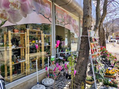 Магазин за цветя Орхидея