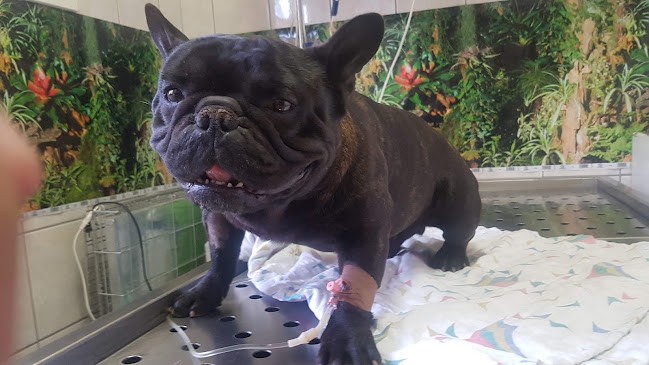 Mezőberény, Madách Imre u. 10/a, 5650