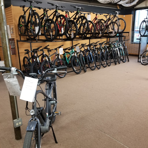 Bicycle Store «Crystal Lake Ski & Bike», reviews and photos, 905 Pyott Rd, Crystal Lake, IL 60014, USA