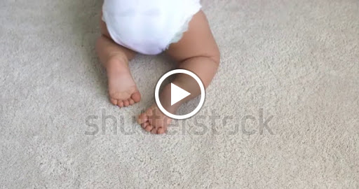 Pet Supply Store «Petco Animal Supplies», reviews and photos, 18578 Coastal Hwy #12, Rehoboth Beach, DE 19971, USA